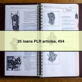 25 loans PLR articles #54