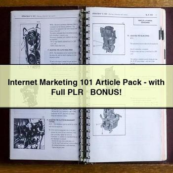 Internet Marketing 101 Article Pack-with Full PLR + BONUS
