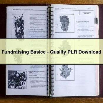 Fundraising Basice-Quality PLR