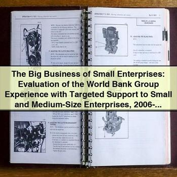 The Big Business of Small Enterprises: Evaluation of World Bank Group Support to SMEs