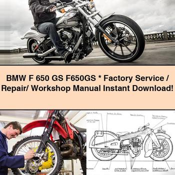 Citroen GS BMW F 650 F650GS / Service Repair Workshop Manual PDF