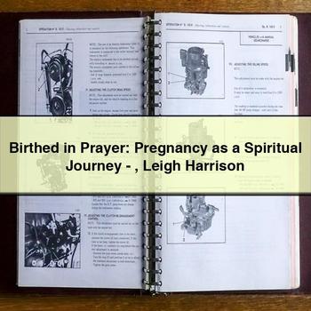 Birthed in Prayer: Pregnancy as a Spiritual Journey-Leigh Harrison