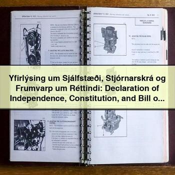 Declaration of Independence, Constitution and Bill of Rights: Icelandic Edition by Thomas Jefferson
