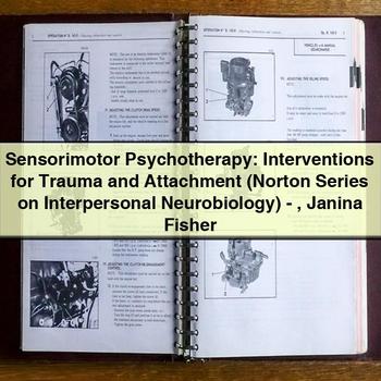 Sensorimotor Psychotherapy: Interventions for Trauma and Attachment by Janina Fisher