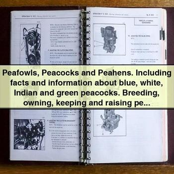 Peafowls, Peacocks and Peahens: Breeding, Owning, Keeping and Raising - Elliott Lang