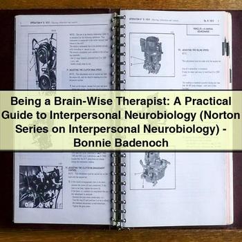 Being BRAIN-WISE Therapist: Practical Interpersonal Neurobiology Bonnie Badenoch Service Repair Workshop Manual