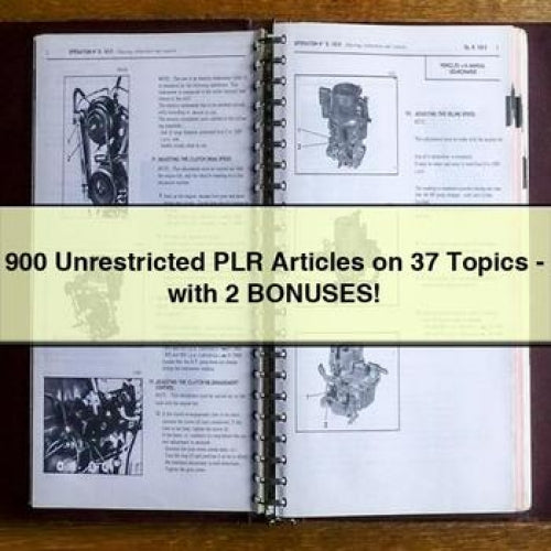 900 Unrestricted PLR Articles on 37 Topics - with 2 BONUSES