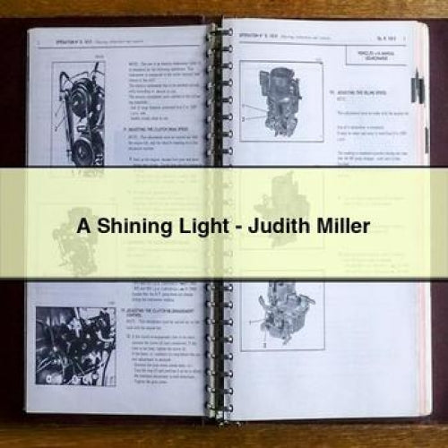 A Shining Light - Judith Miller