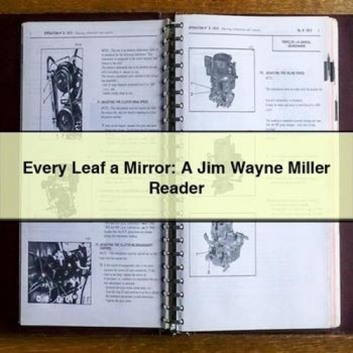 Every Leaf a Mirror: A Jim Wayne Miller Reader