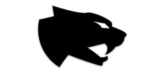 Arctic Cat