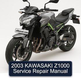 2003 KAWASAKI Z1000 Service Repair Manual