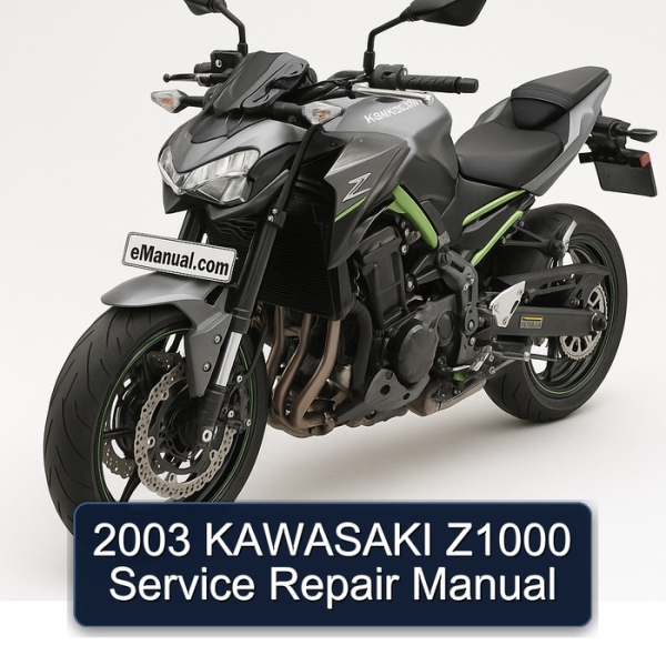 2003 KAWASAKI Z1000 Service Repair Manual