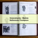 Greenshanks-Maimie Nethersole-Thompson
