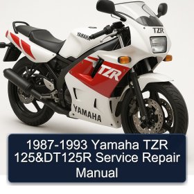 1987-1993 Yamaha TZR 125&DT125R Service Repair Manual