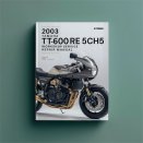 2003 Yamaha TT600RE 5CH5 Workshop Service Repair Manual