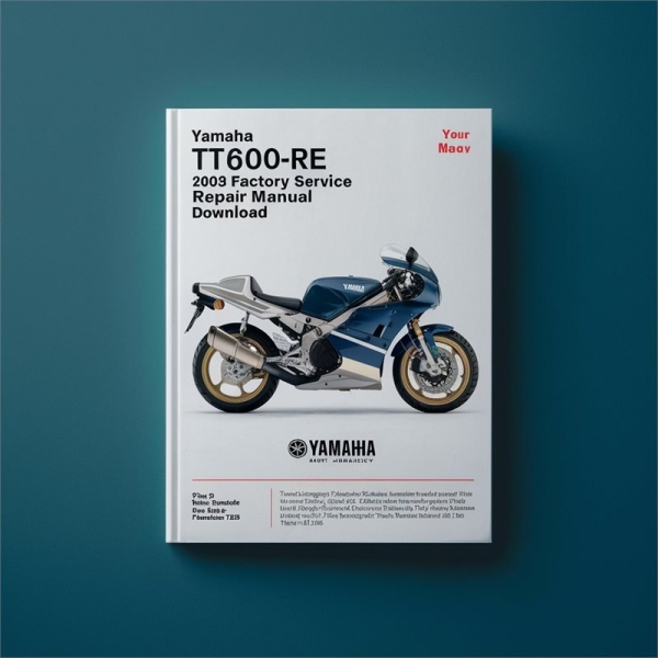 Yamaha TT600RE 2003 Factory Service Repair Manual