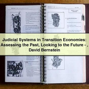 Judicial Systems in Transition Economies: Assessing the Past Looking to the Future-David Bernstein