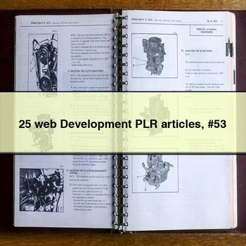 25 web Development PLR articles #53