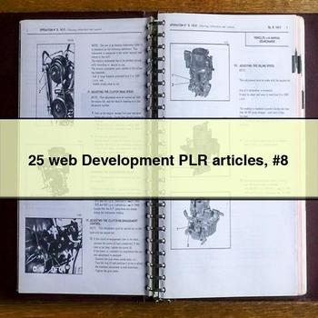 25 web Development PLR articles #8