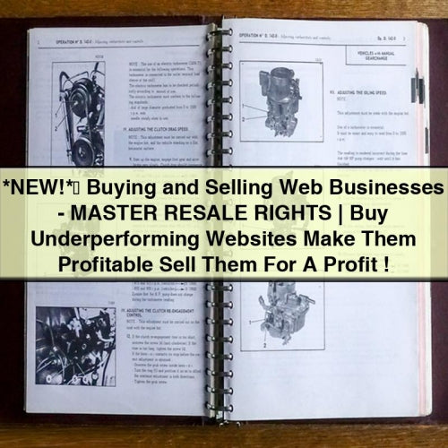 Buying and Selling Web Businesses:
