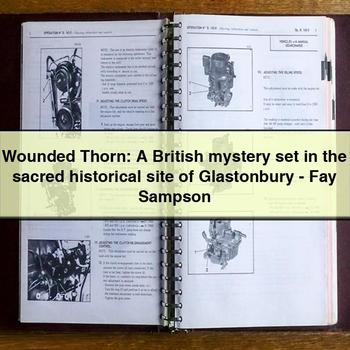 Wounded Thorn: A British mystery set in the sacred historical site of Glastonbury-Fay Sampson