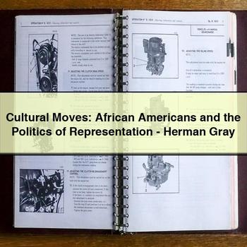 Cultural Moves: African Americans and the Politics of Representation-Herman Gray