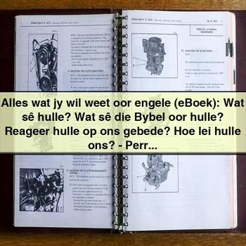 Alles wat jy wil weet oor engele (eBoek): Wat sê hulle? Wat sê die Bybel oor hulle? Reageer hulle op ons gebede? Hoe lei hulle ons? by Perry Stone