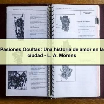 Pasiones Ocultas: Una historia de amor en la ciudad-L. A. Morens