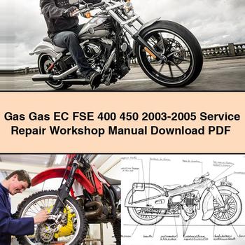 2003-2005 Gas EC Models FSE 400 450 Service Repair Workshop Manual PDF