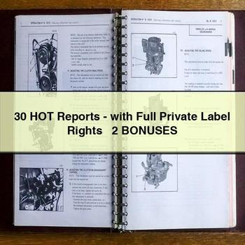 30 HOT Reports-with Full + 2 BONUSES