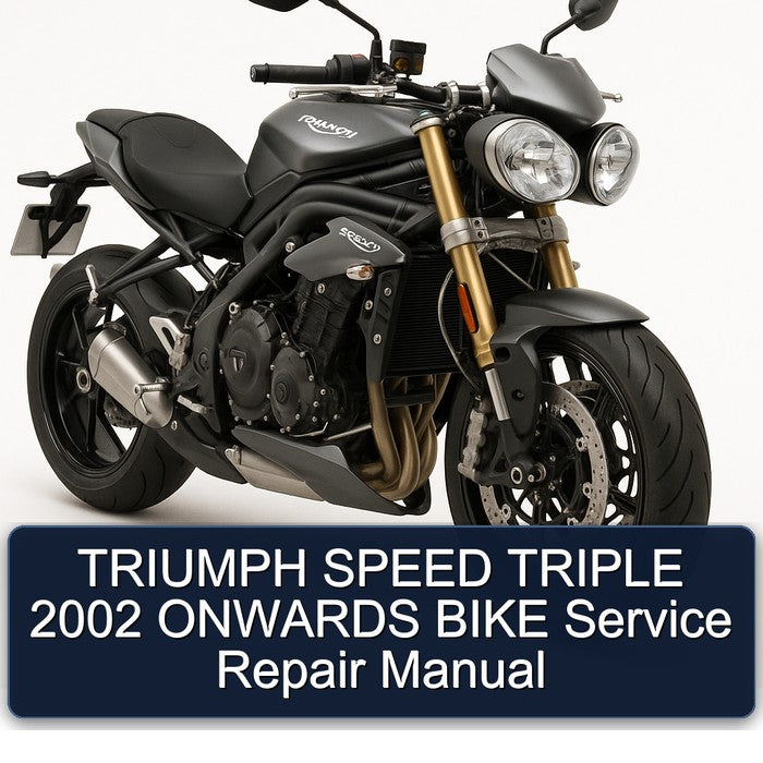 2002 Triumph Speed Triple Onwards Bike Service Repair Workshop Manual