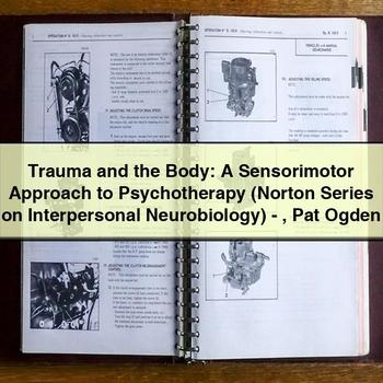 Trauma and the Body: A Sensorimotor Approach to Psychotherapy (Norton Series on Interpersonal Neurobiology)-Pat Ogden