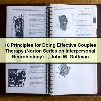 10 Principles For Doing Effective Couples Therapy (norton Series On Interpersonal Neurobiology)-john M. Gottman