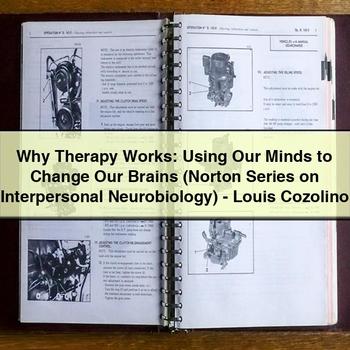 Why Therapy Works: Using Our Minds to Change Our Brains (Norton Series on Interpersonal Neurobiology)-Louis Cozolino