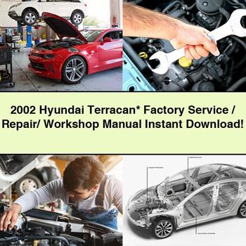 2002 Hyundai Terracan Factory Service/Repair/ Workshop Manual