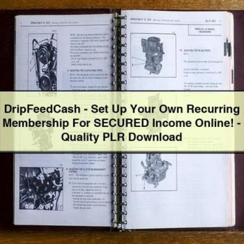 DripFeedCash - Set Up Your Own Recurring Membership For SECURED Income Online - Quality PLR