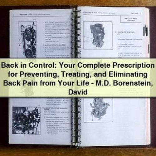 Back in Control: Your Complete Prescription for Preventing, Treating, and Eliminating Back Pain by David Borenstein M.D